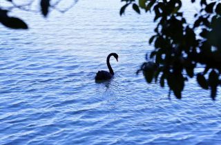 以行促學 賦能宣傳 | 2023通訊員交流活動圓滿結(jié)束