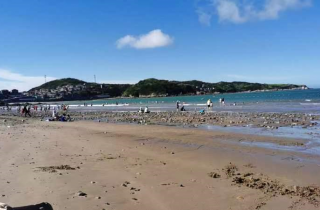 遠(yuǎn)離喧囂 回歸自然 | 花邊業(yè)務(wù)四部衢山島團(tuán)建