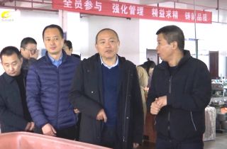 湖南省工信廳第九調(diào)研組深入湖南萌恒走訪調(diào)研